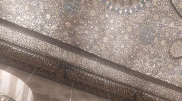 الحكومة تصدر بياناً توضيحياً بشأن حقيقة فيديو خفافيش شارع المعز المتداول مؤخراً